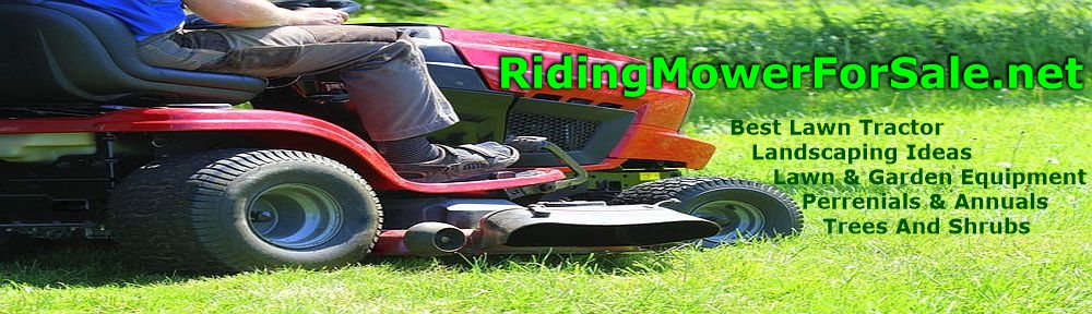 Riding Mower For Sale